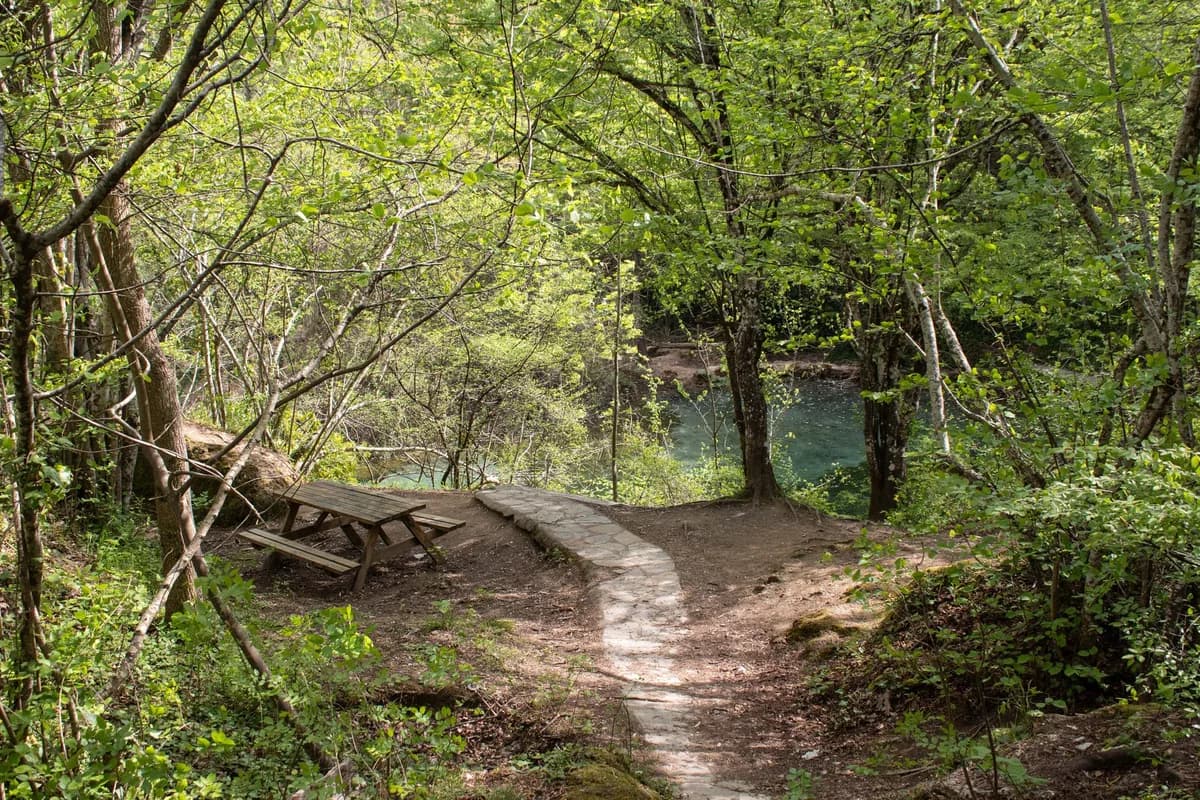 A tranquil forest path leading to the Skra Waterfalls in Greece, surrounded by lush greenery.