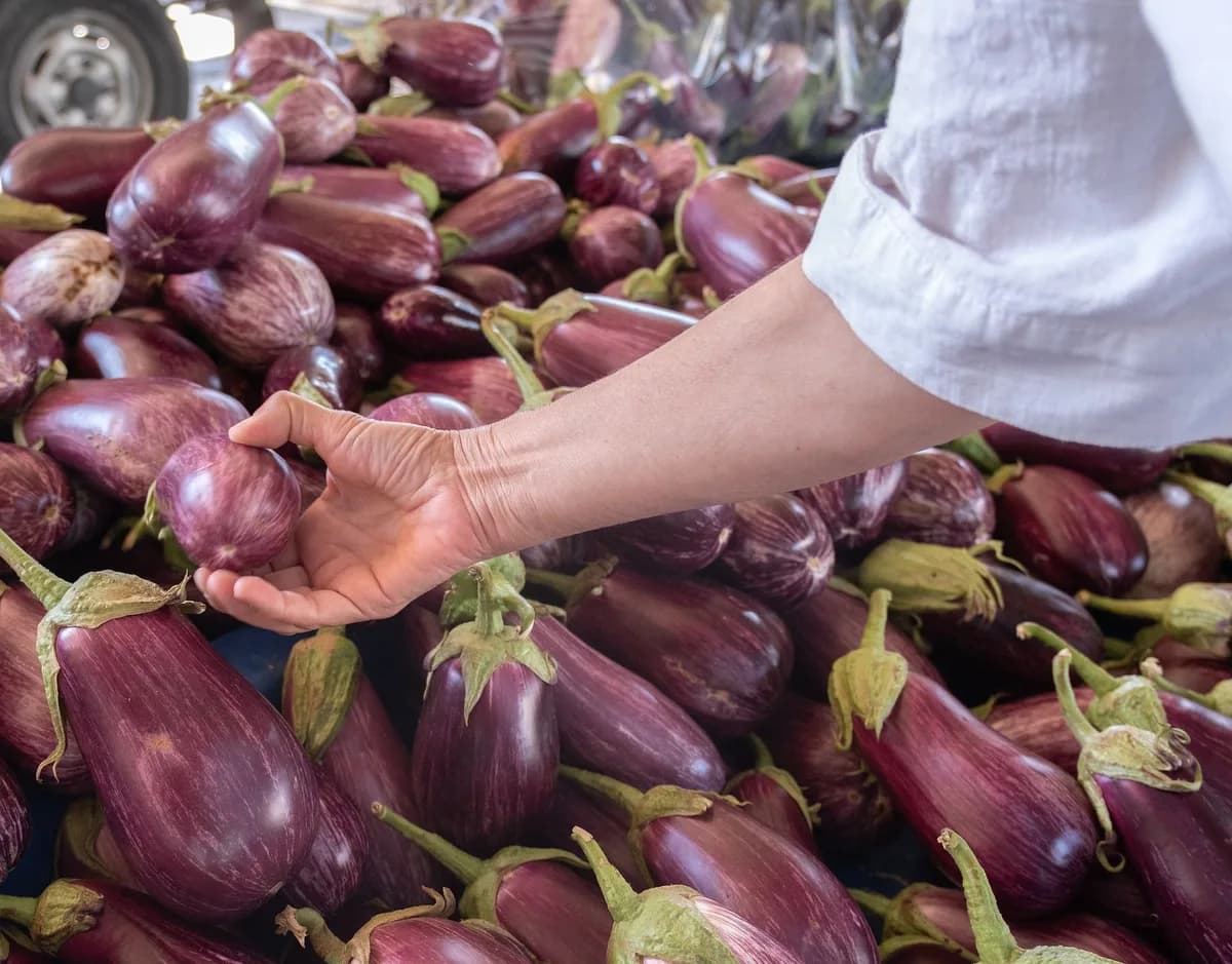 A vibrant display of fresh eggplants at a market in İzmir, Türkiye, showcasing local produce.