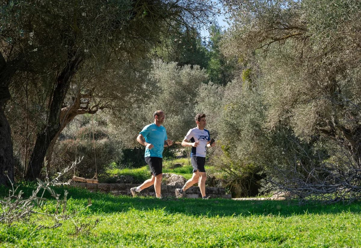 Two men jogging through a lush green forest path on a bright day, capturing the spirit of outdoor fitness.