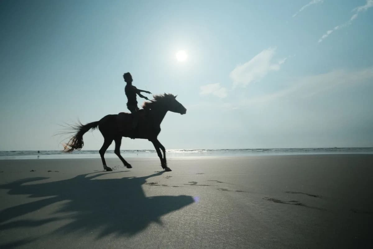 A horse and rider silhouette trot along a sunlit beach, showcasing freedom and adventure.