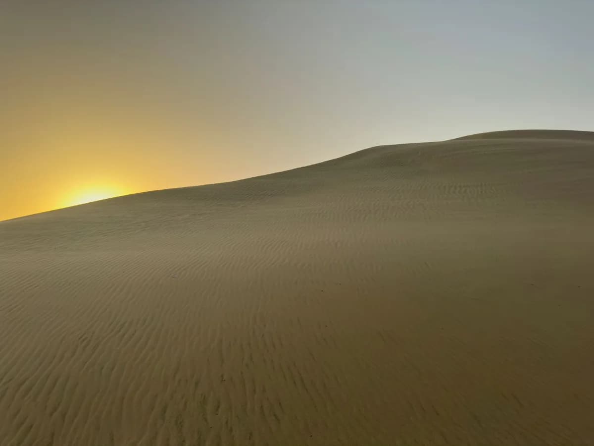 Peaceful sand dunes illuminated by the rising sun, showcasing nature's beauty in the desert.