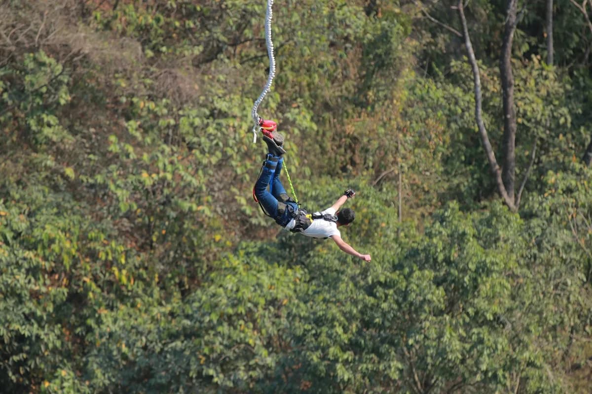 Exciting bungee jump adventure with lush forest backdrop. Perfect for thrill-seekers and nature enthusiasts.