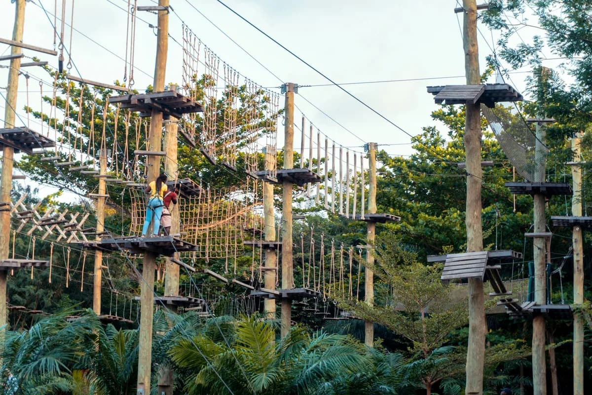 A thrilling high ropes course set amidst lush greenery, perfect for outdoor climbing adventures.