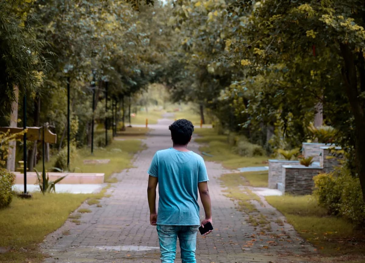 Back view of man in blue outfit walking in solitude on paved pathway with tropical vegetation in garden