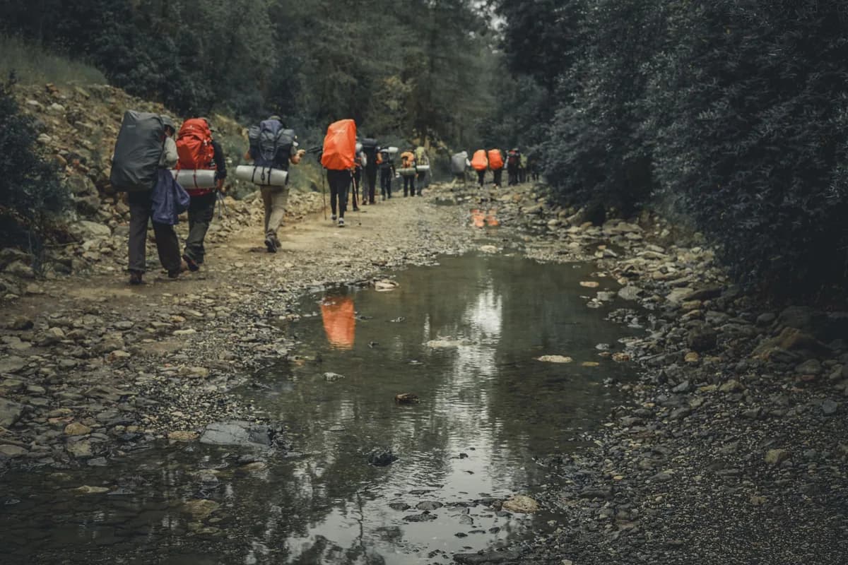 A group of hikers with backpacks traverse a rocky forest trail on a cloudy day.