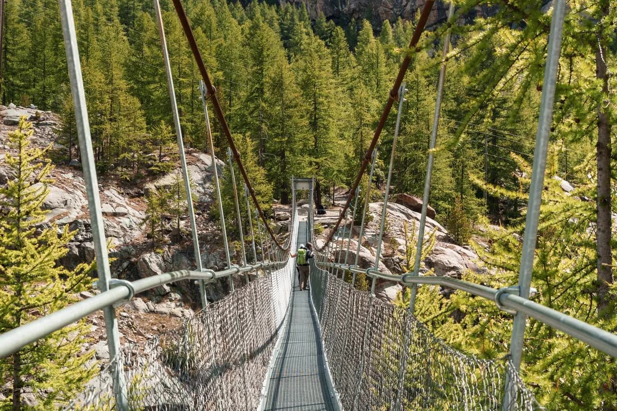 A hiker traverses a suspension bridge surrounded by vibrant green forest landscape.
