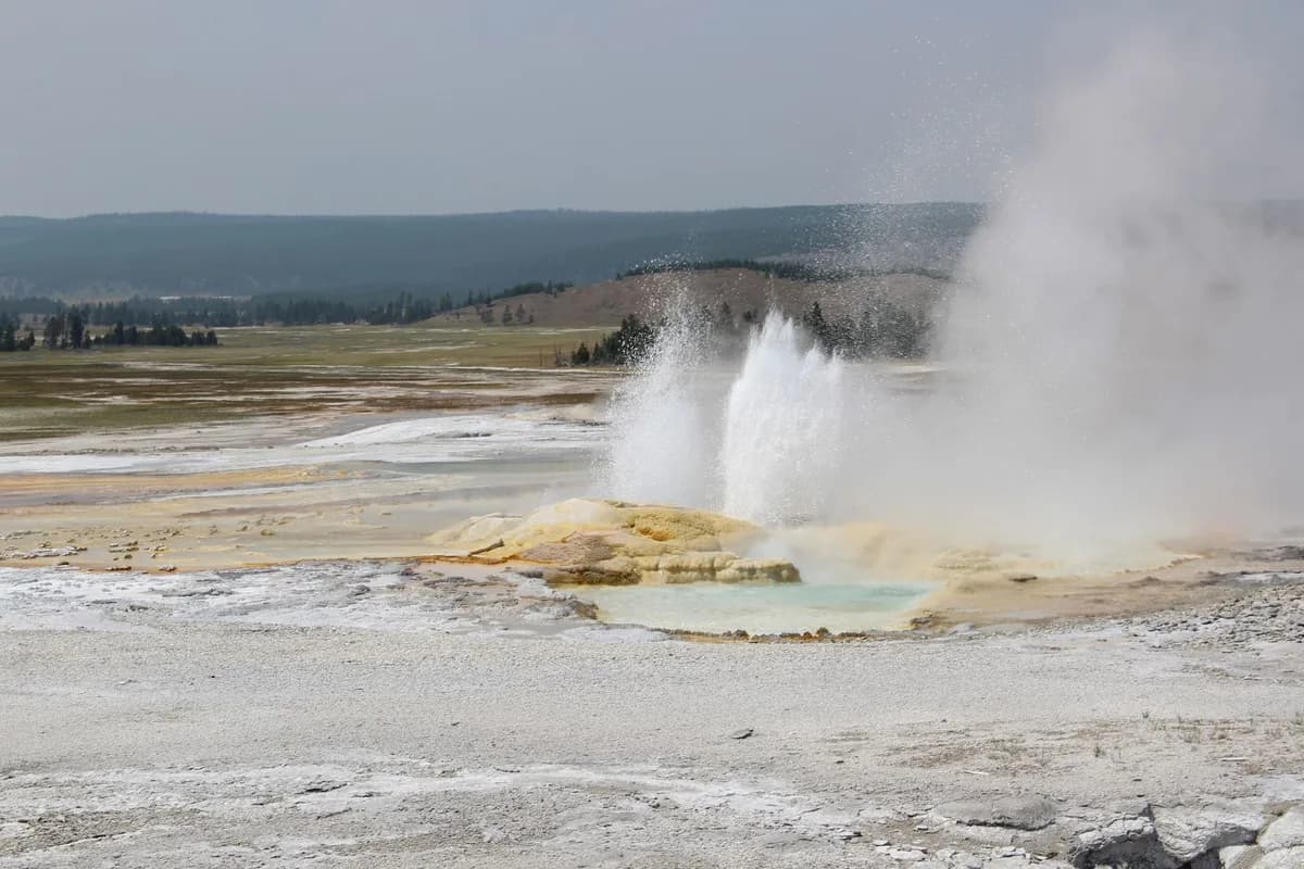 Captivating geyser eruption at Yellowstone National Park, USA, showcasing geothermal activity.