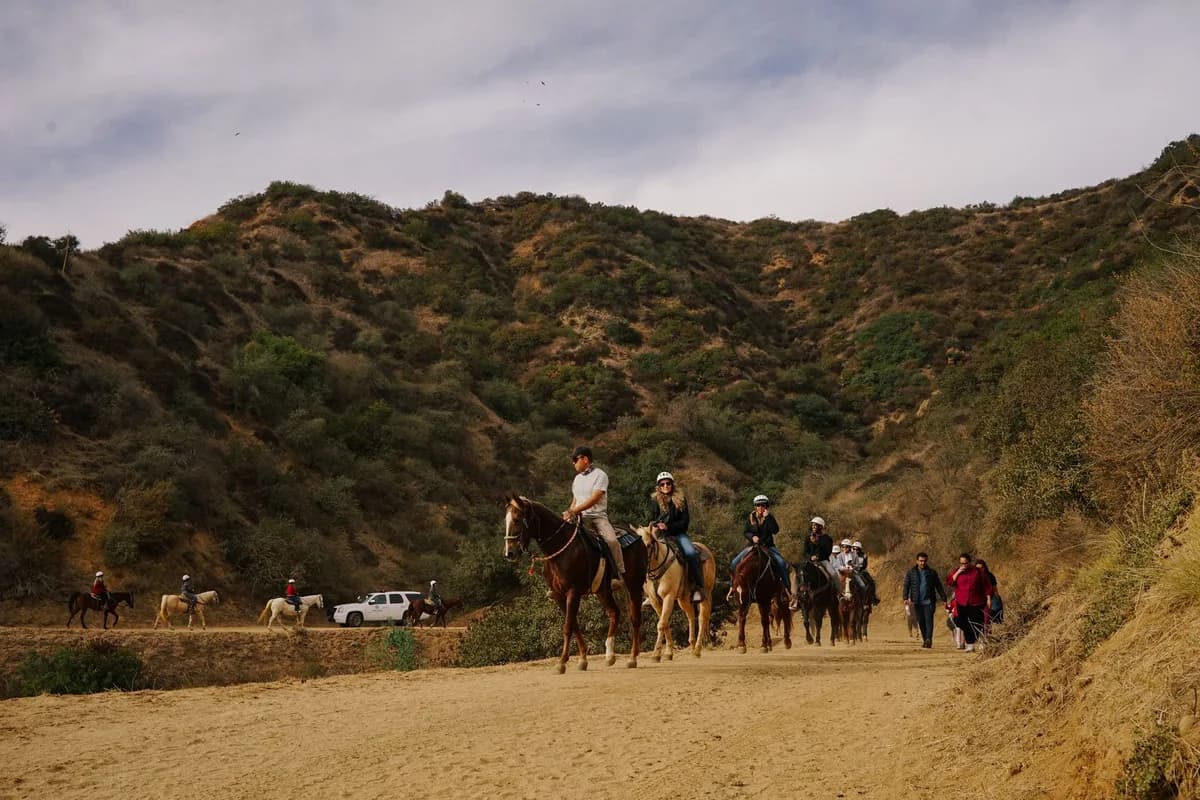 A group of people horseback riding on a canyon trail surrounded by lush hills.
