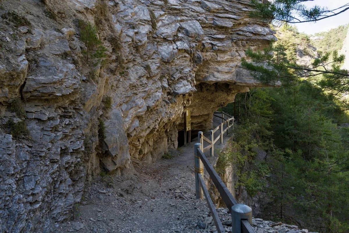 Explore the rugged mountain pathway in the breathtaking Swiss Alps surrounded by nature.