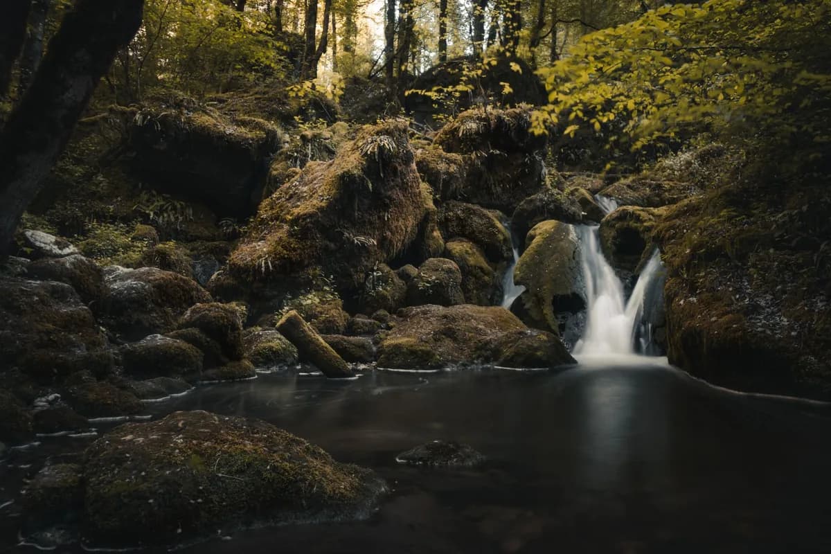 Tranquil waterfall in a lush forest setting with moss-covered rocks and serene waters.