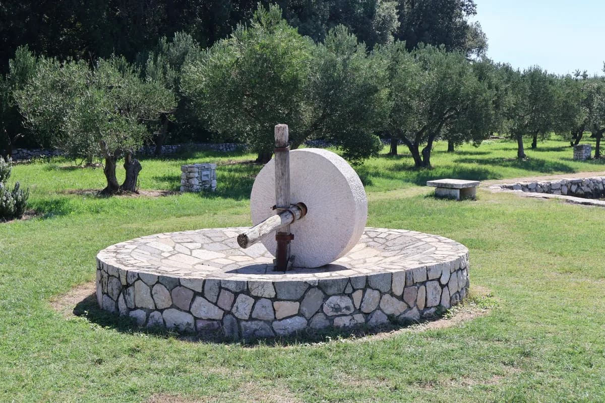 Stone olive mill in a sunny orchard surrounded by olive trees and lush greenery.