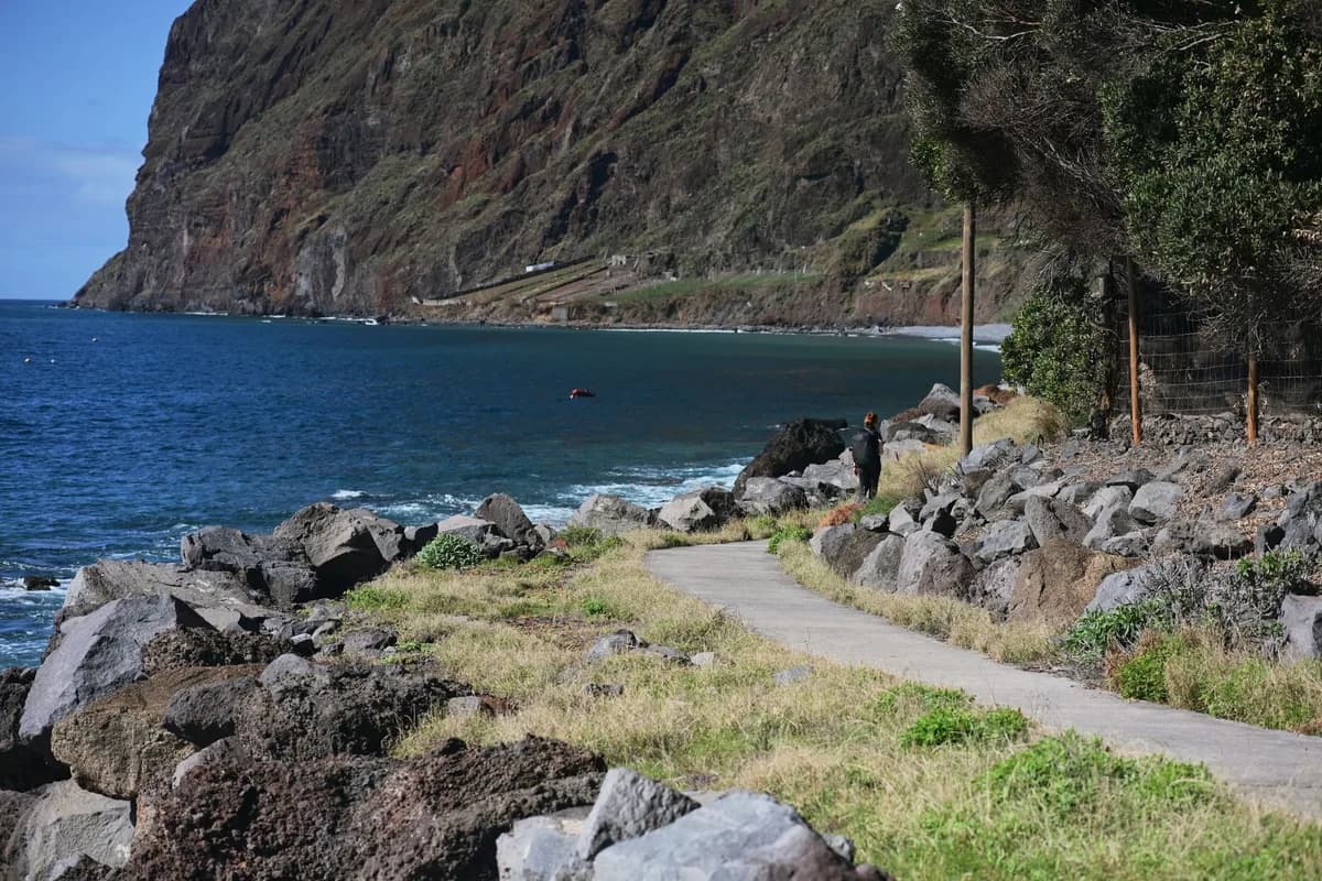 Explore the rugged beauty of Madeira's coastline with a scenic view of cliffs and ocean.