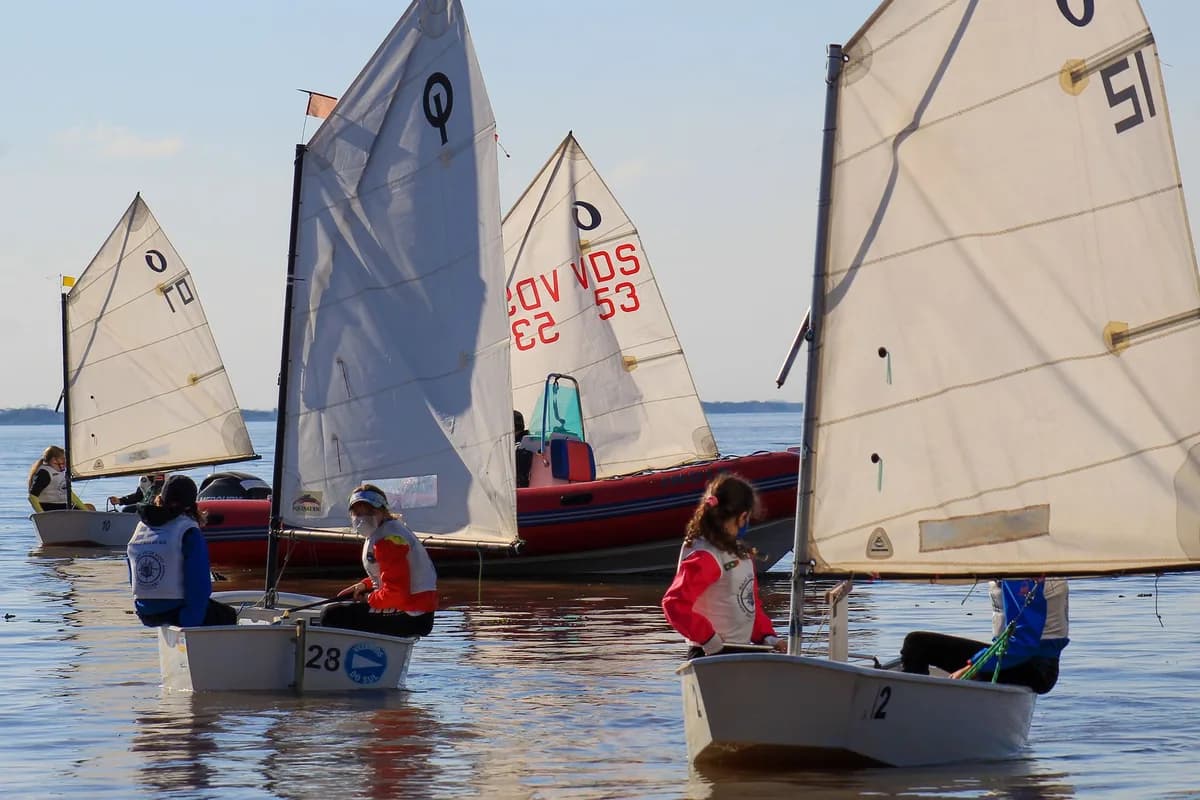 Children sailing small boats during a sunny youth sailing competition on the calm sea.