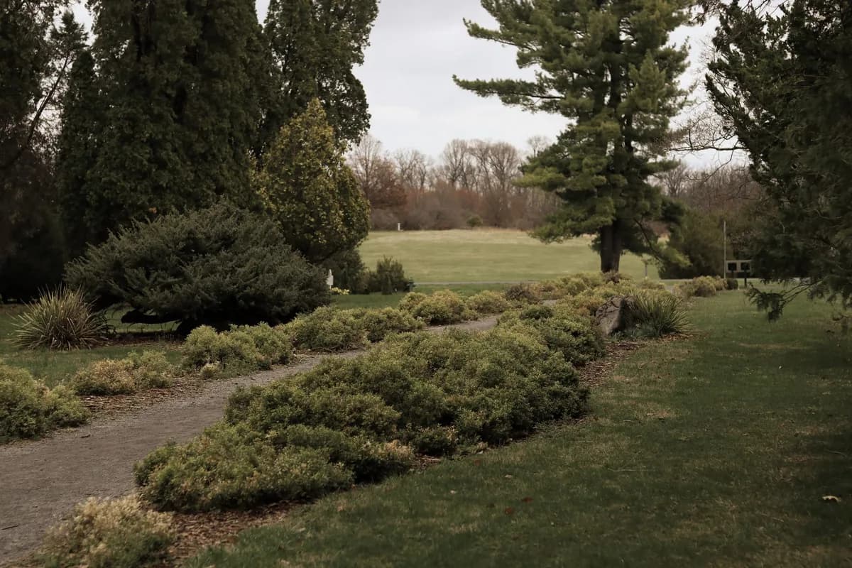 Explore a tranquil pathway amid lush, diverse greenery in Boyce's arboretum.