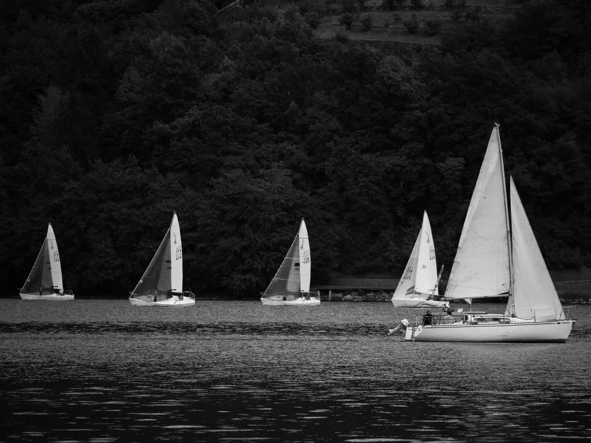 Monochrome photo of sailboats on a peaceful lake with lush forest background.