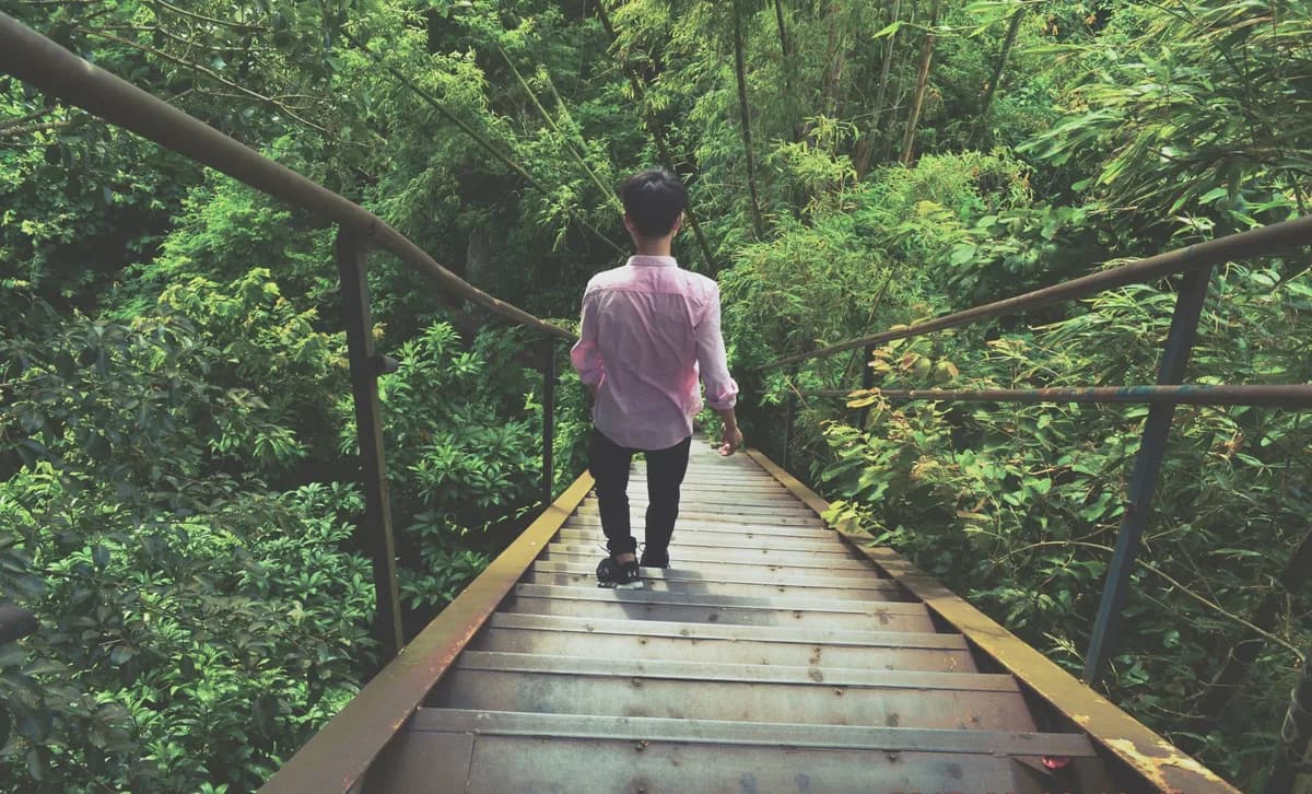 A person walks down a metal staircase surrounded by dense green forest, capturing serene nature.