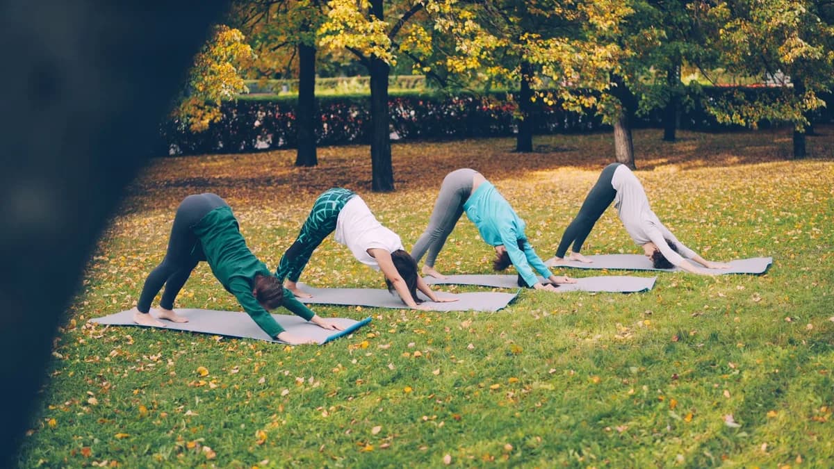 Four women perform yoga outdoors on a sunny autumn day, showcasing fitness and mindfulness.