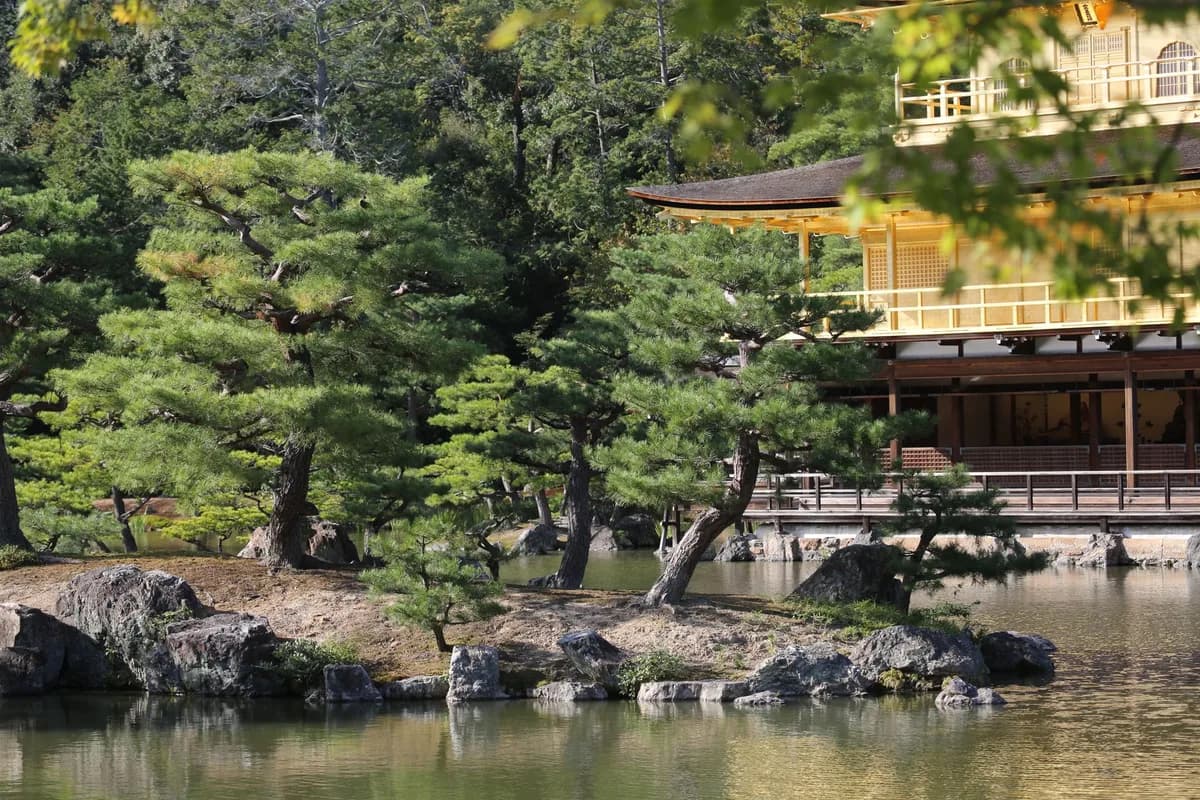 Serene view of Kinkaku-ji reflecting on a tranquil pond amidst lush foliage in Kyoto.