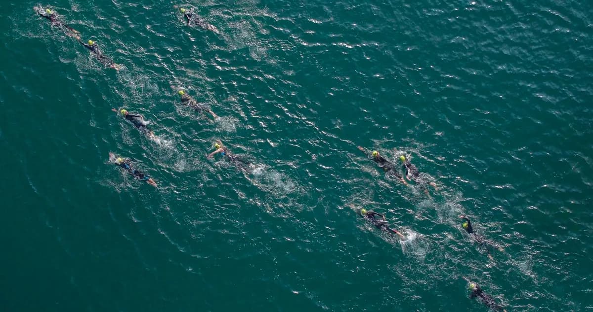 Swimmers in wetsuits and caps compete in a race through open waters.