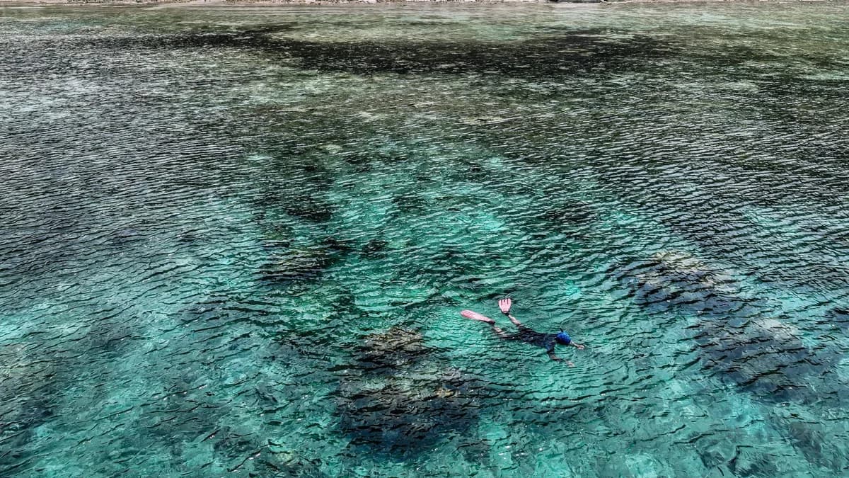 A snorkeler swims in clear turquoise water over a vibrant coral reef, showcasing marine life.