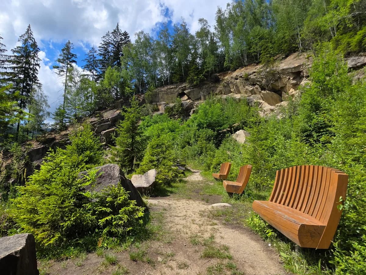 Explore a peaceful forest path lined with modern wooden benches and surrounded by lush greenery.