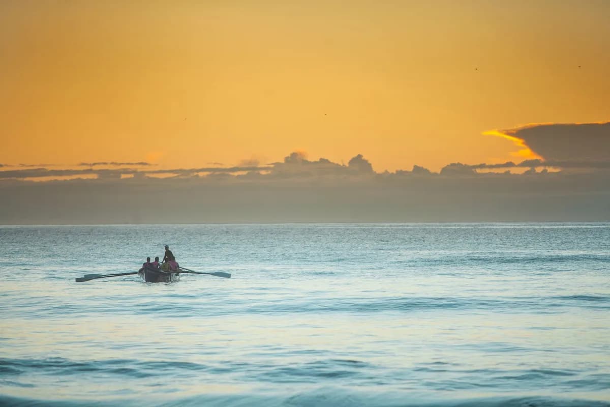 Serene scene of people rowing on the ocean at sunrise with a golden sky.