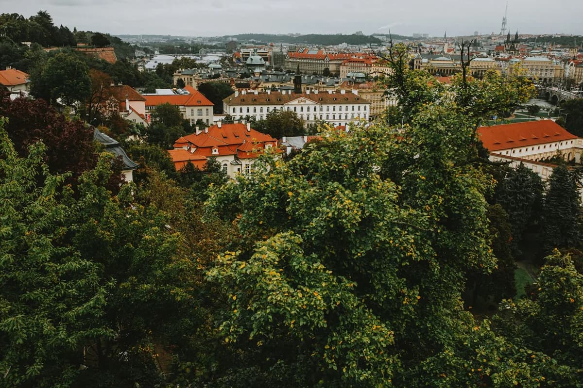 Aerial view of Prague showcasing the city's historic rooftops and abundant green foliage.