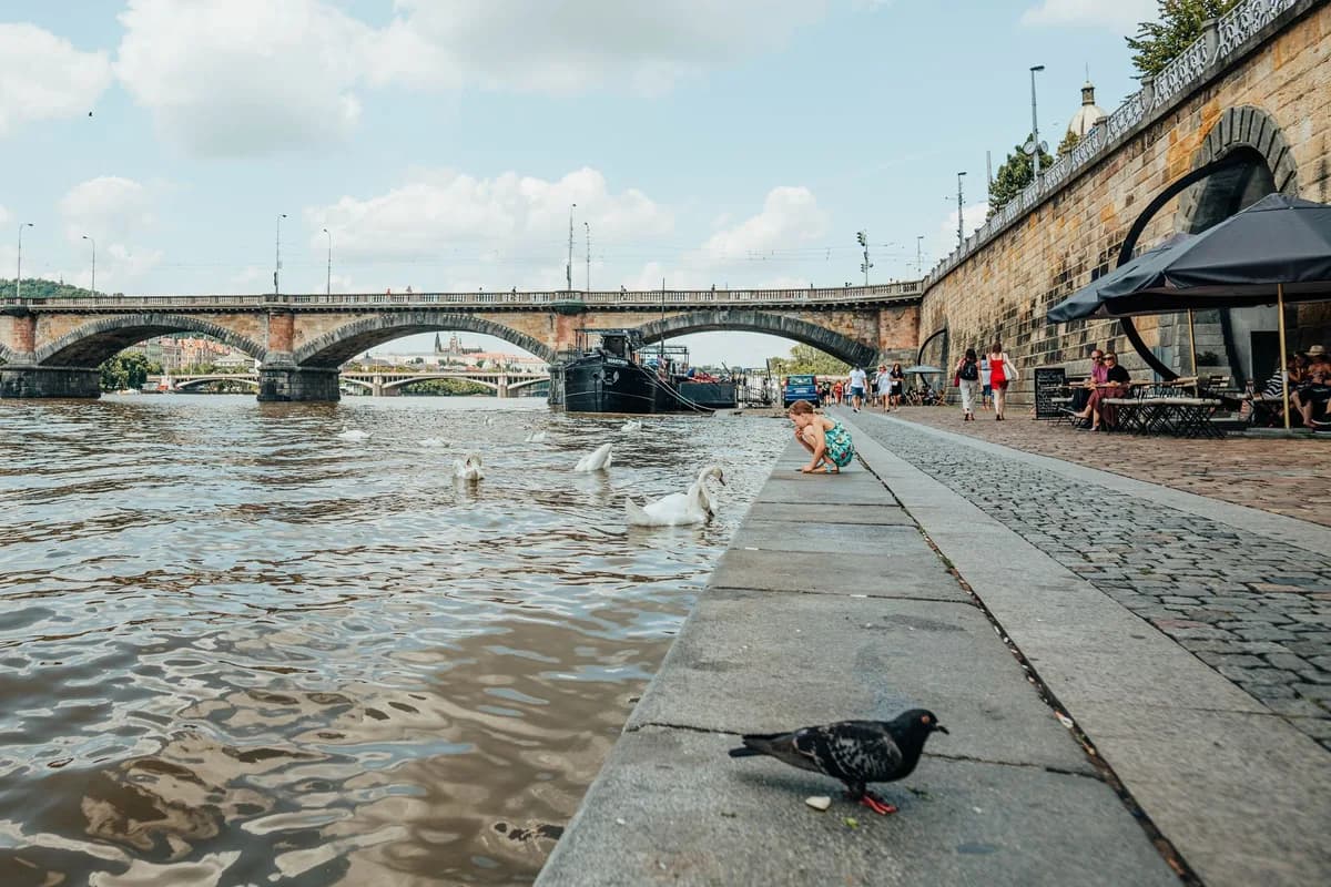 Explore the picturesque Vltava riverfront with the iconic Palacky Bridge in Prague, vibrant with urban life.