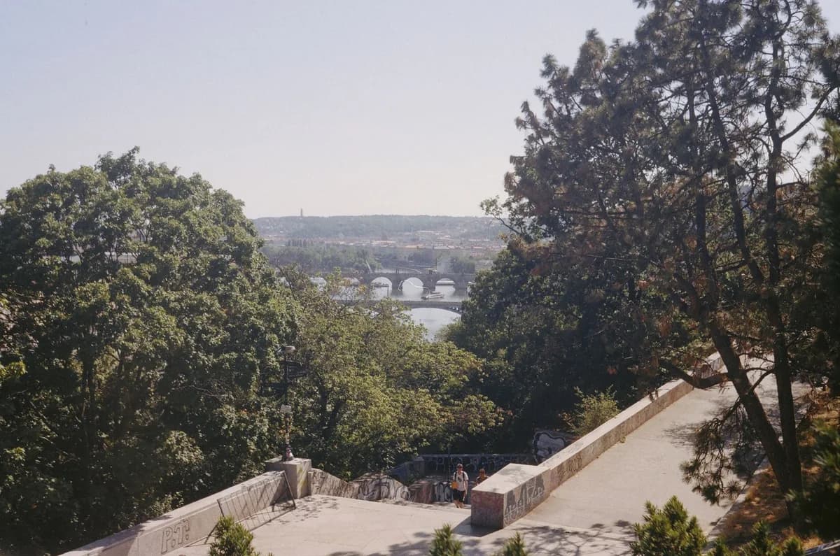 High-angle view of Charles Bridge through lush trees in Prague.
