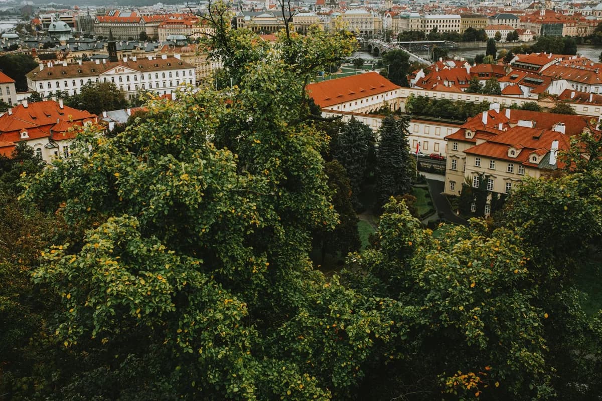Aerial view of Prague with red rooftops and lush greenery, showcasing its historic architecture.